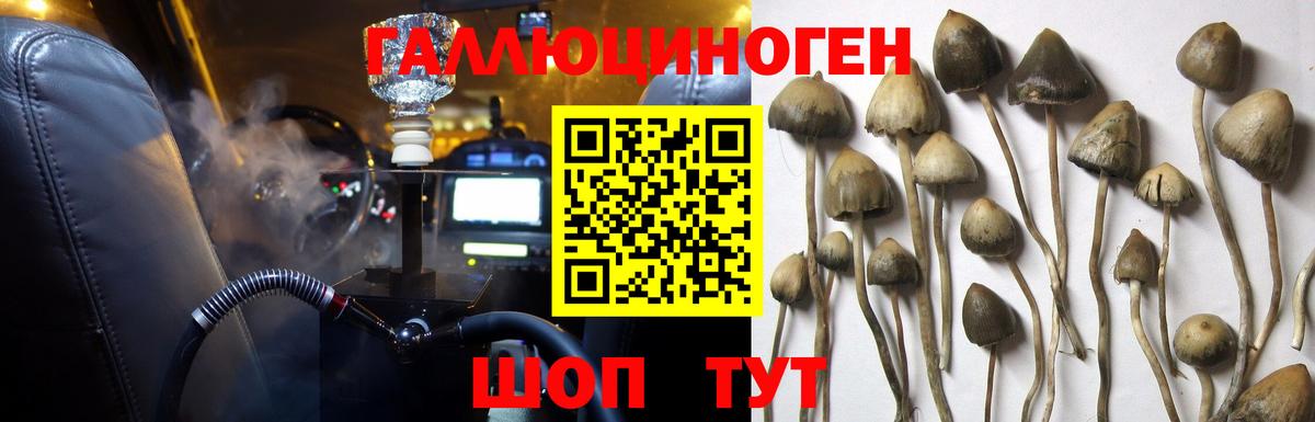 Галлюциногенные грибы Psilocybe  Вход с VPN  Кемерово 